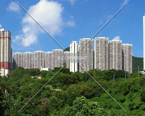From Cyberport Road