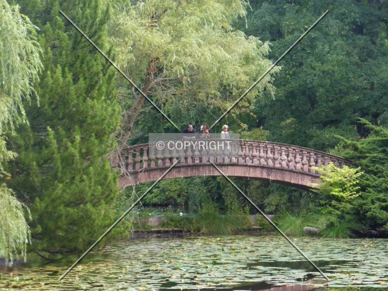 Photo 768-276-436