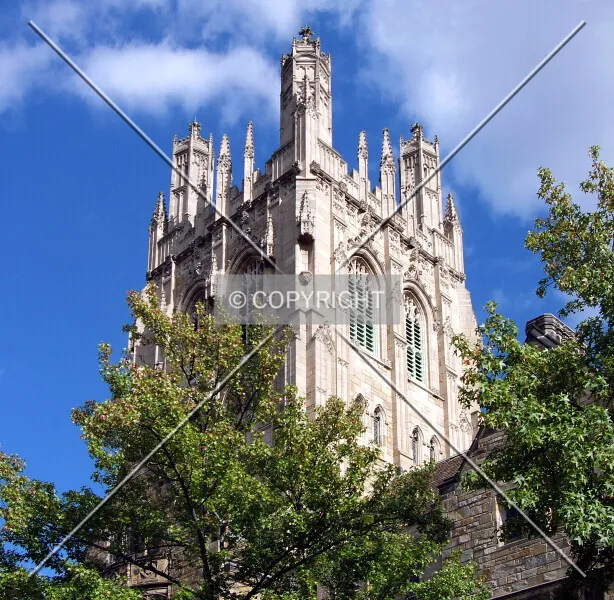 Photo 076-828-744