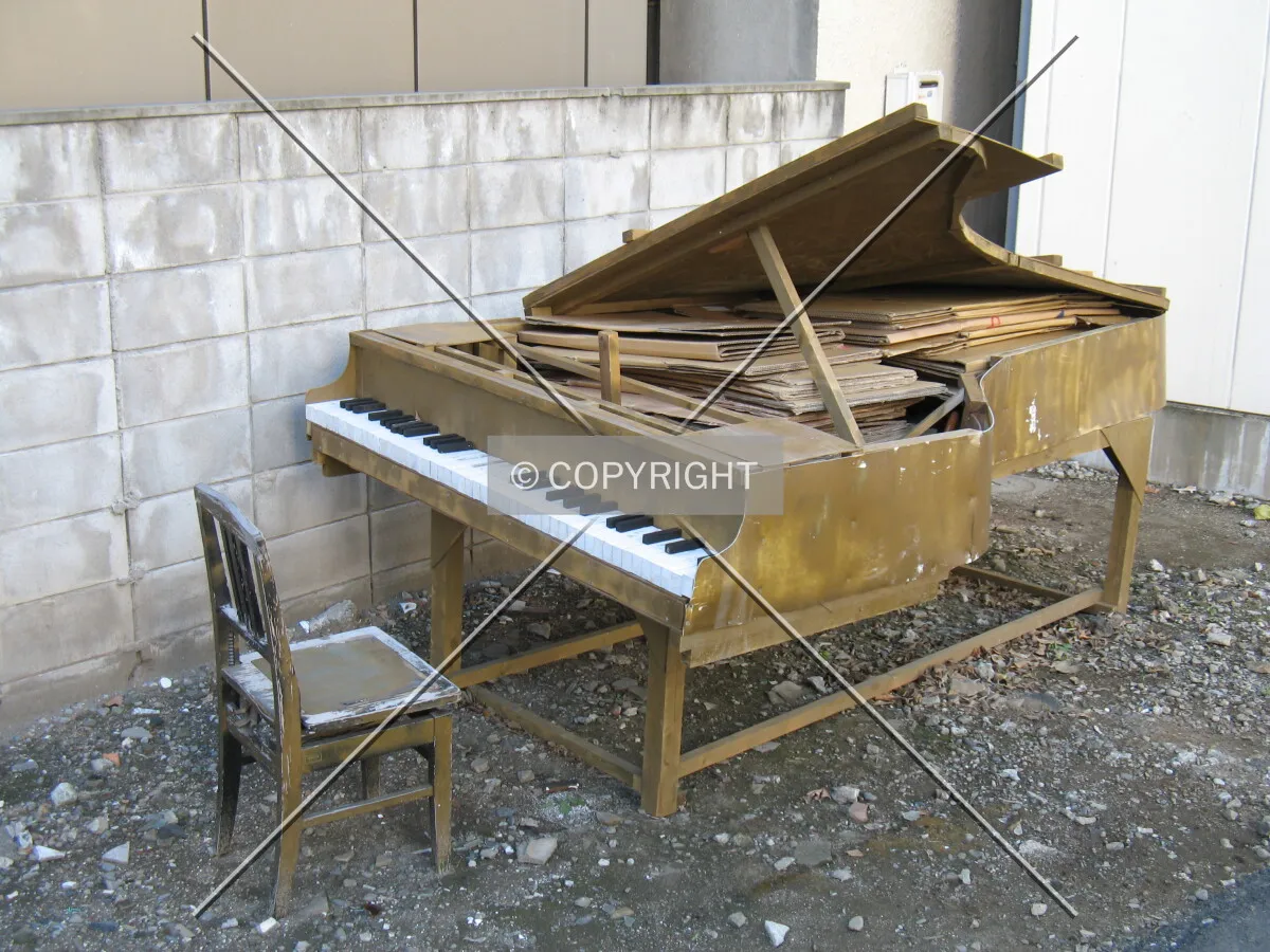 Photo 768-560-958