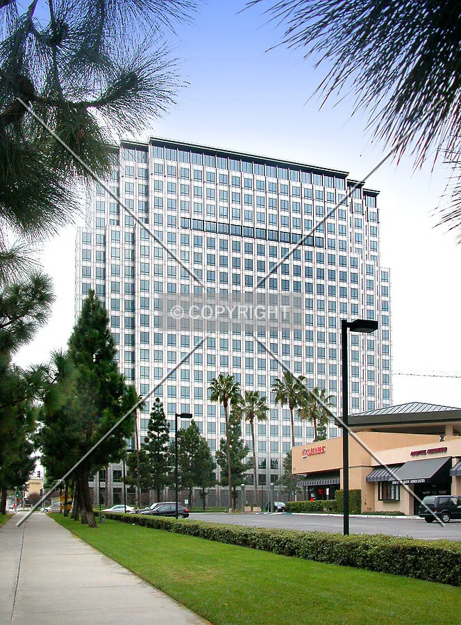 View from the east