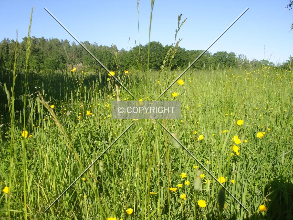 Photo 768-603-276
