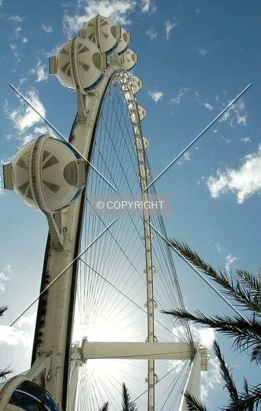 Photo 768-894-822