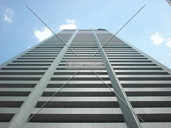 View to the top