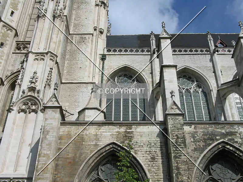 Photo 076-913-010
