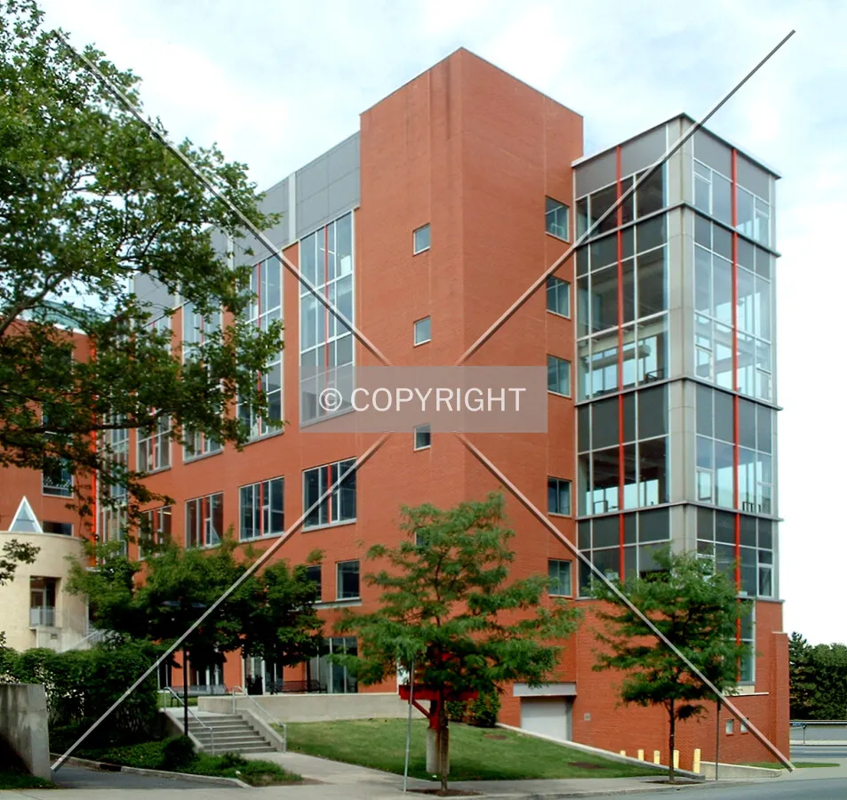 View from the west across Warren Street