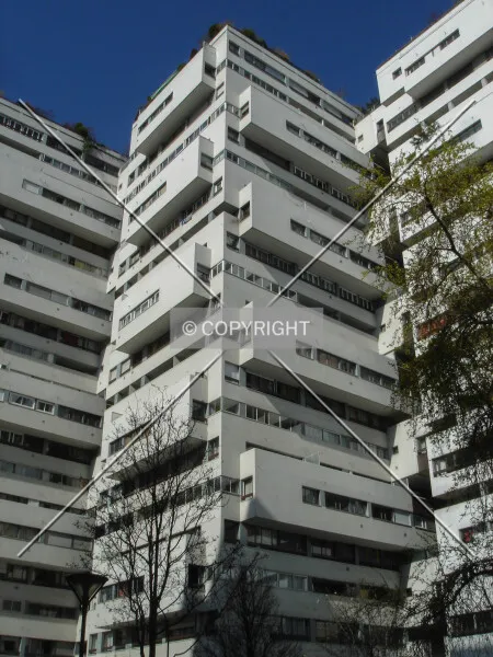 Photo 769-552-984