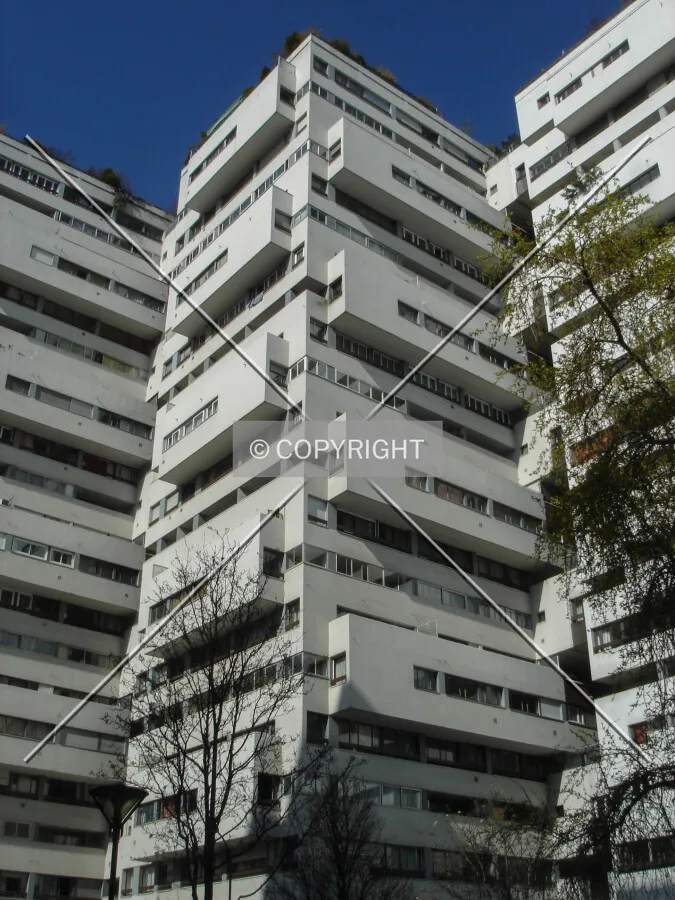 Photo 769-552-984