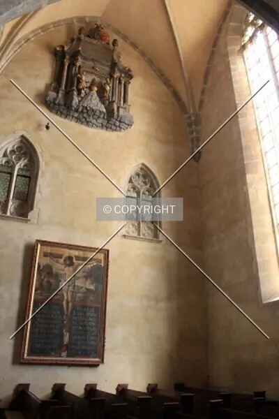 Photo 769-719-989
