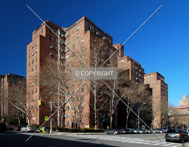 Photo 769-790-245