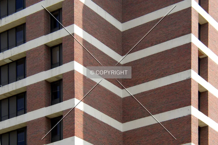 Photo 769-799-249