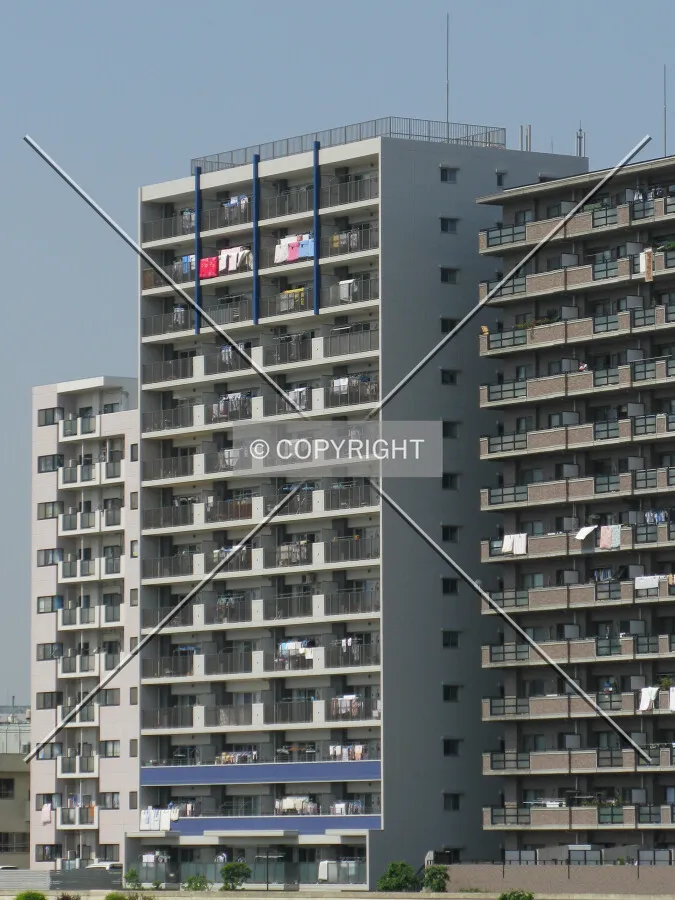 Full-height view from the northeast