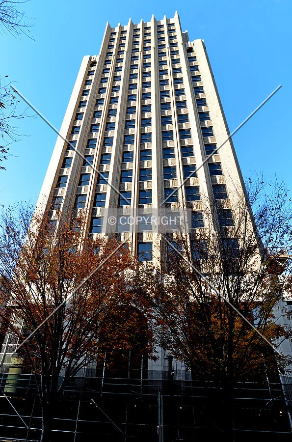 View from the southeast on Hamilton Street