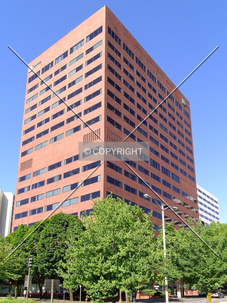 Photo 770-823-155