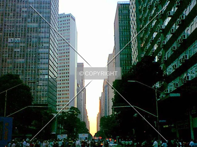 Avenida Rio Branco seen in the afternoon