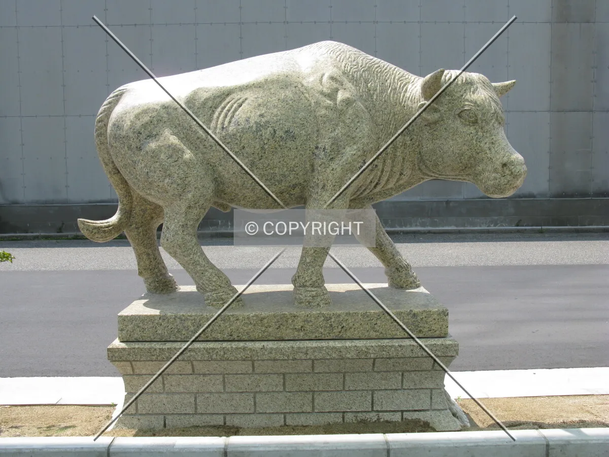 Photo 771-439-741