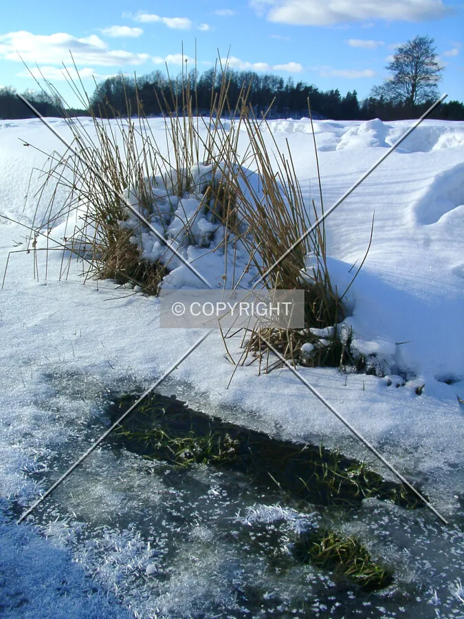 winterimpression with water