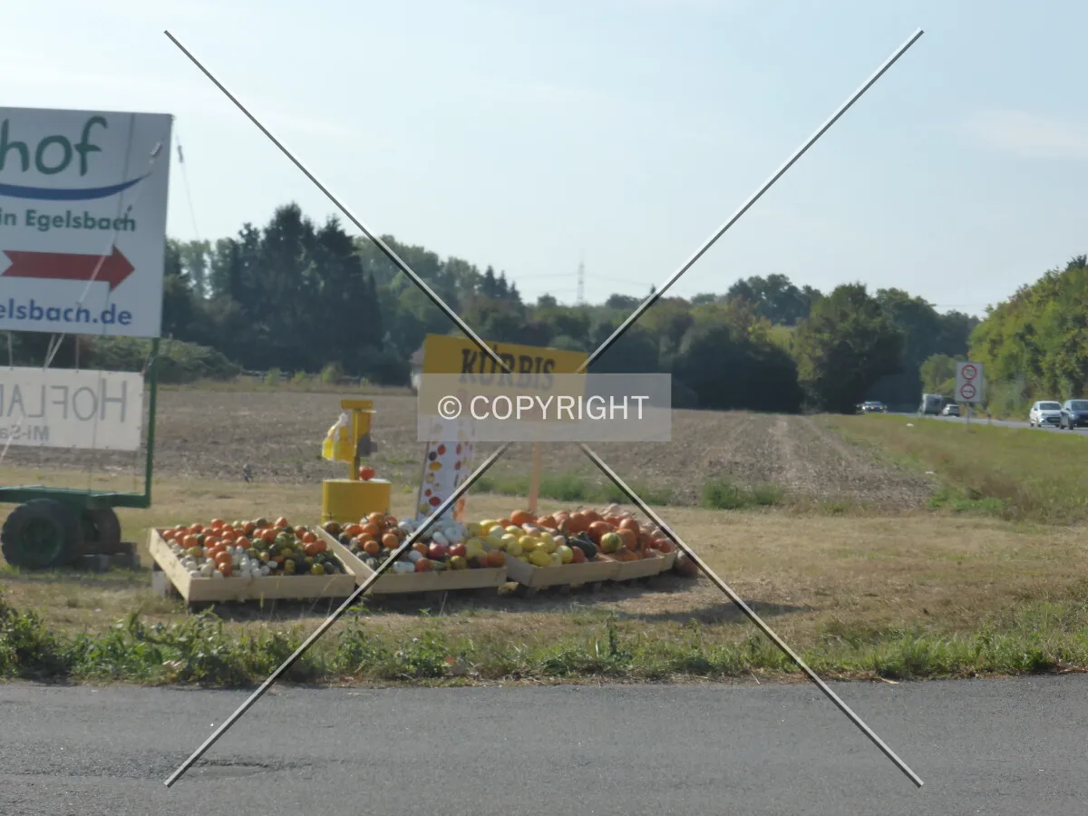 Photo 771-526-072