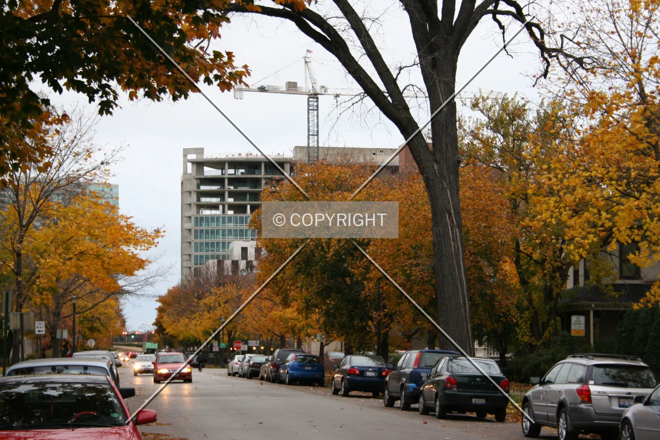 Looking north on Maple Avenue