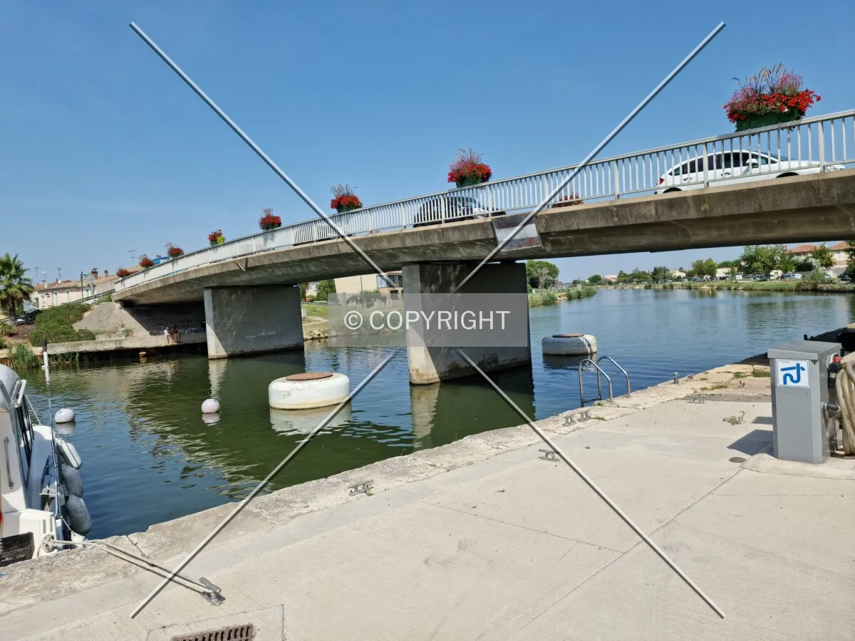 Photo 772-118-793