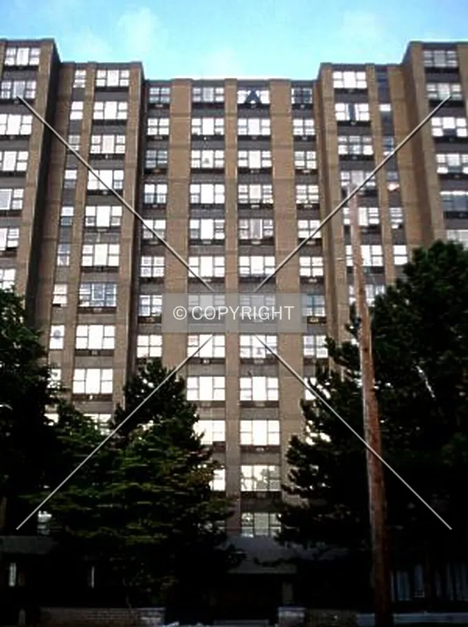 View from the west