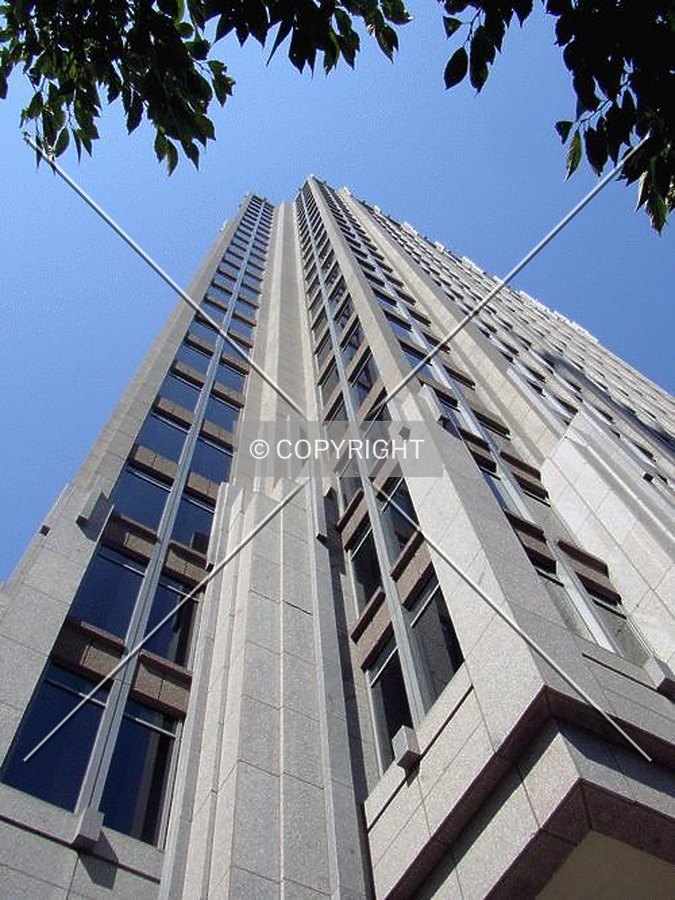 Looking up from Tryon Street