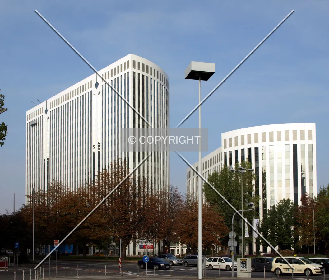 View from the east