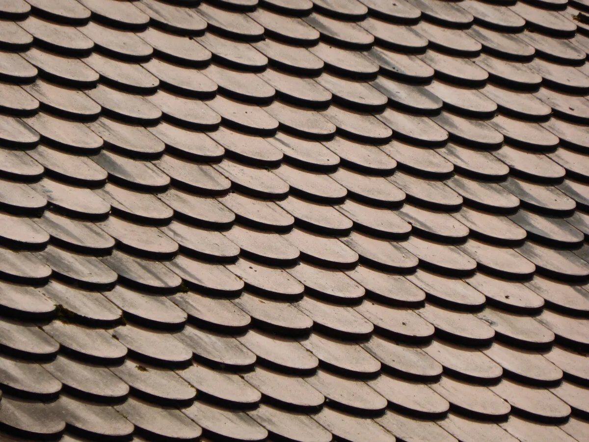 Photo 077-274-541