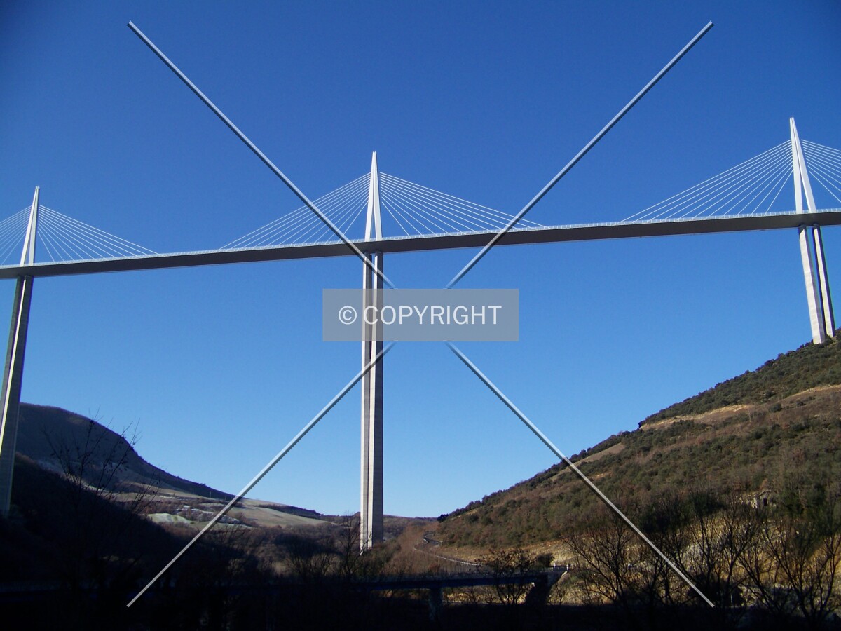 Photo 772-784-460