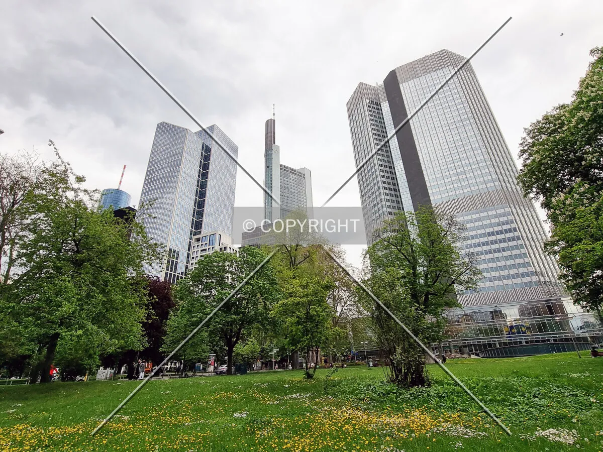 Frankfurt CBD
