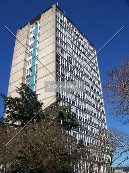 Photo 077-300-369