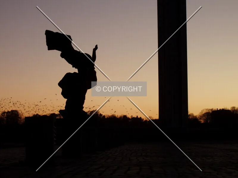 Photo 773-334-778