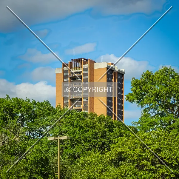 Photo 773-394-983