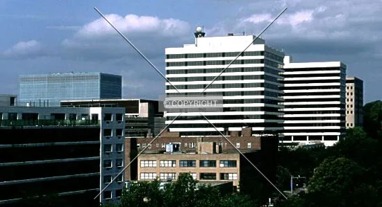 Photo 773-576-527