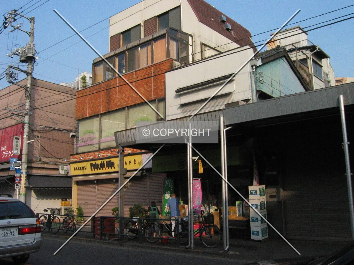 Photo 077-390-078