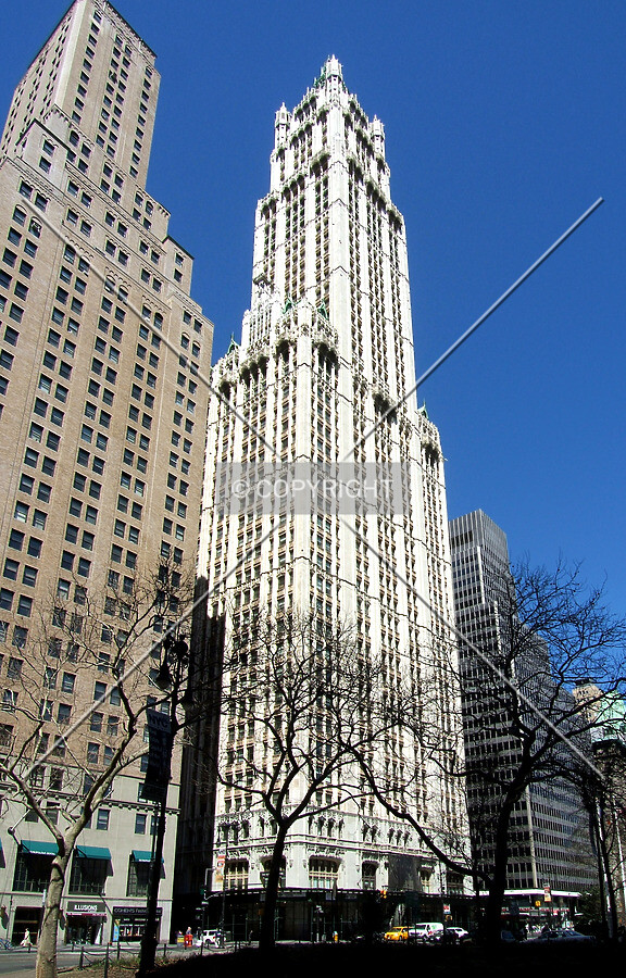View from the south