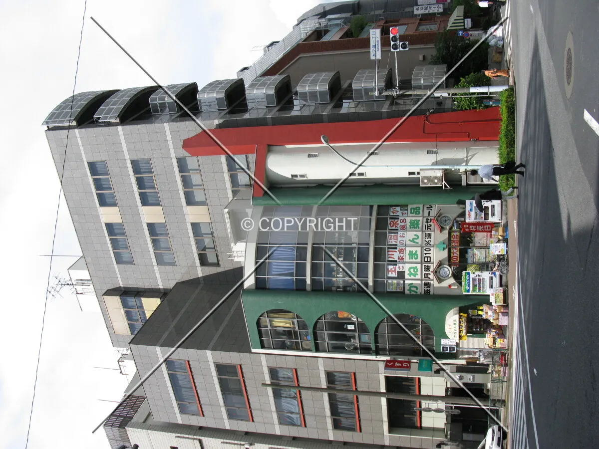 Photo 774-097-799