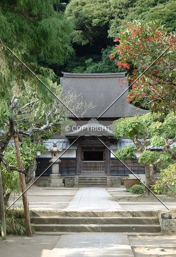 Entrance and Main Hall