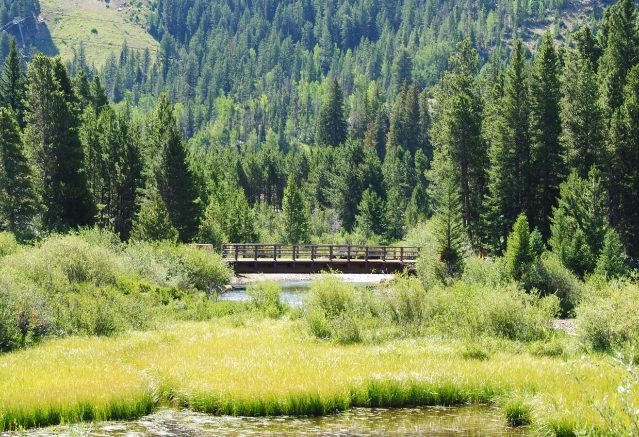Nearby bridge over the snake river