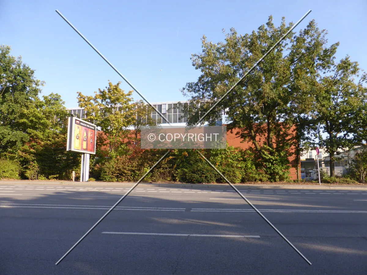 Photo 774-616-335