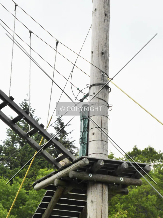 Photo 774-760-097