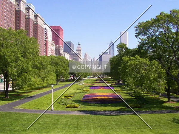 Grant Park in the springtime