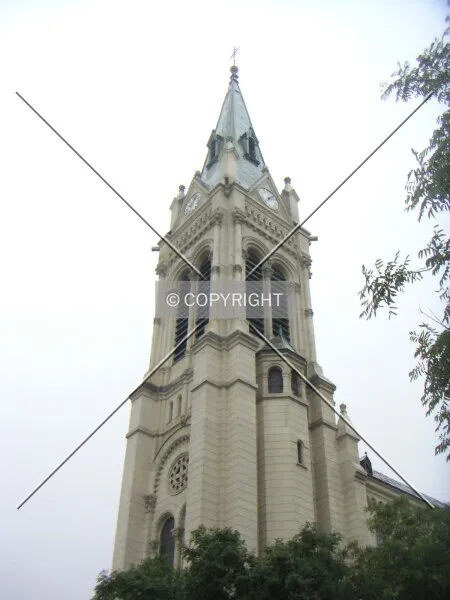 Photo 077-546-871