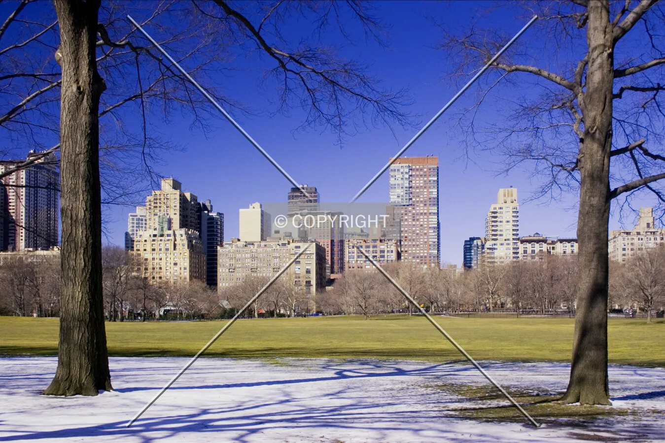 Upper West Side from Central Park