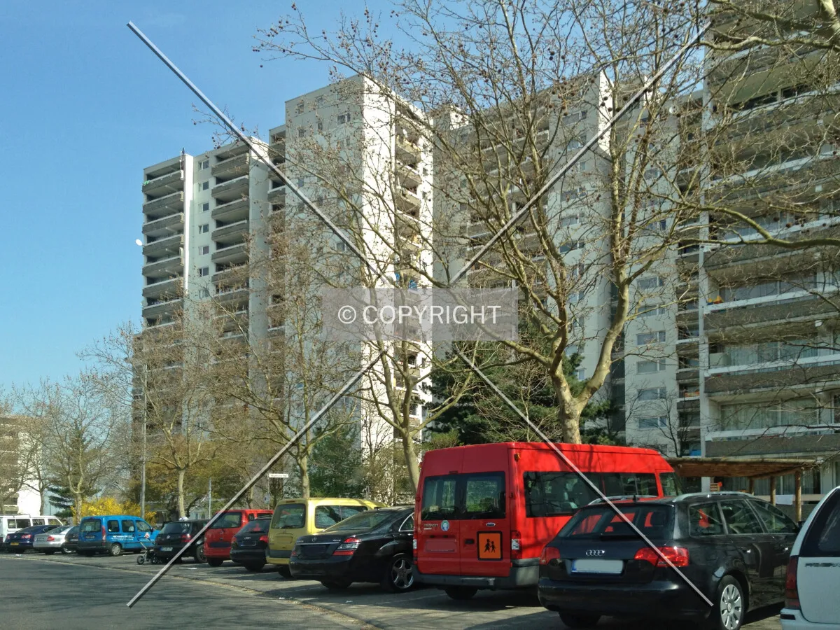Photo 775-705-935