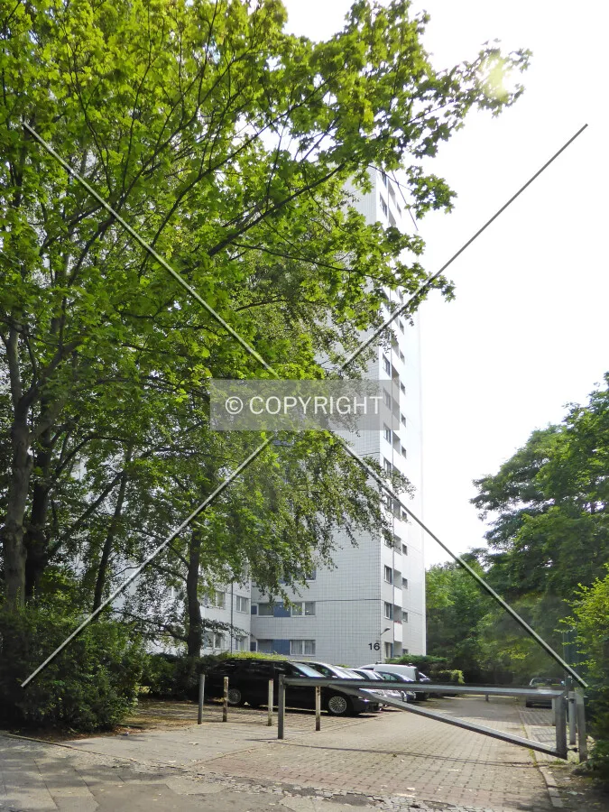 Photo 776-122-343