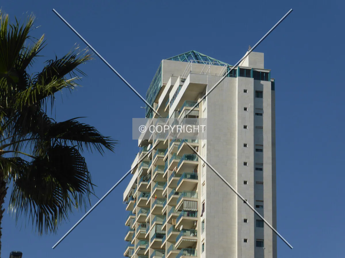 Photo 776-377-799