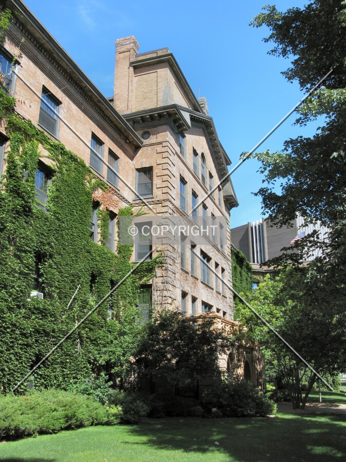 View to the north from the southeast corner