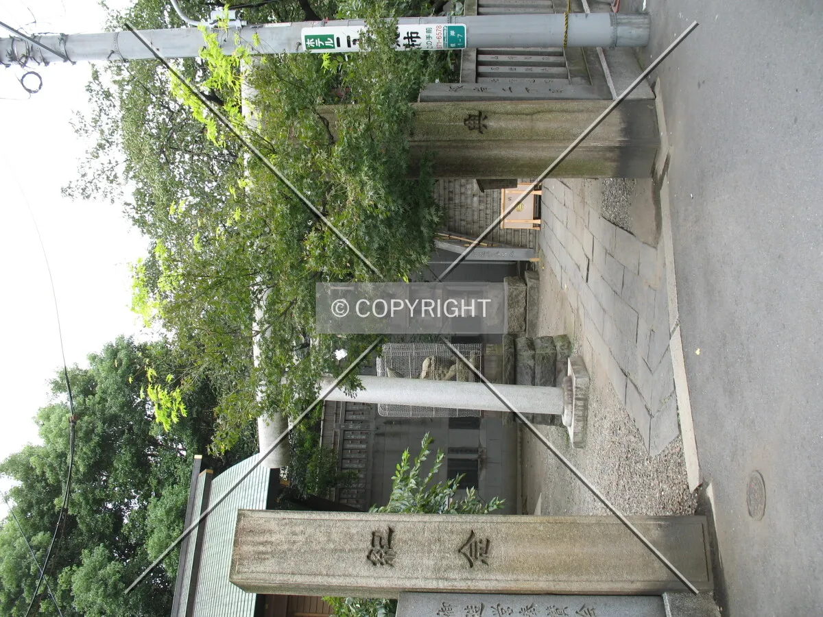 Photo 776-851-845