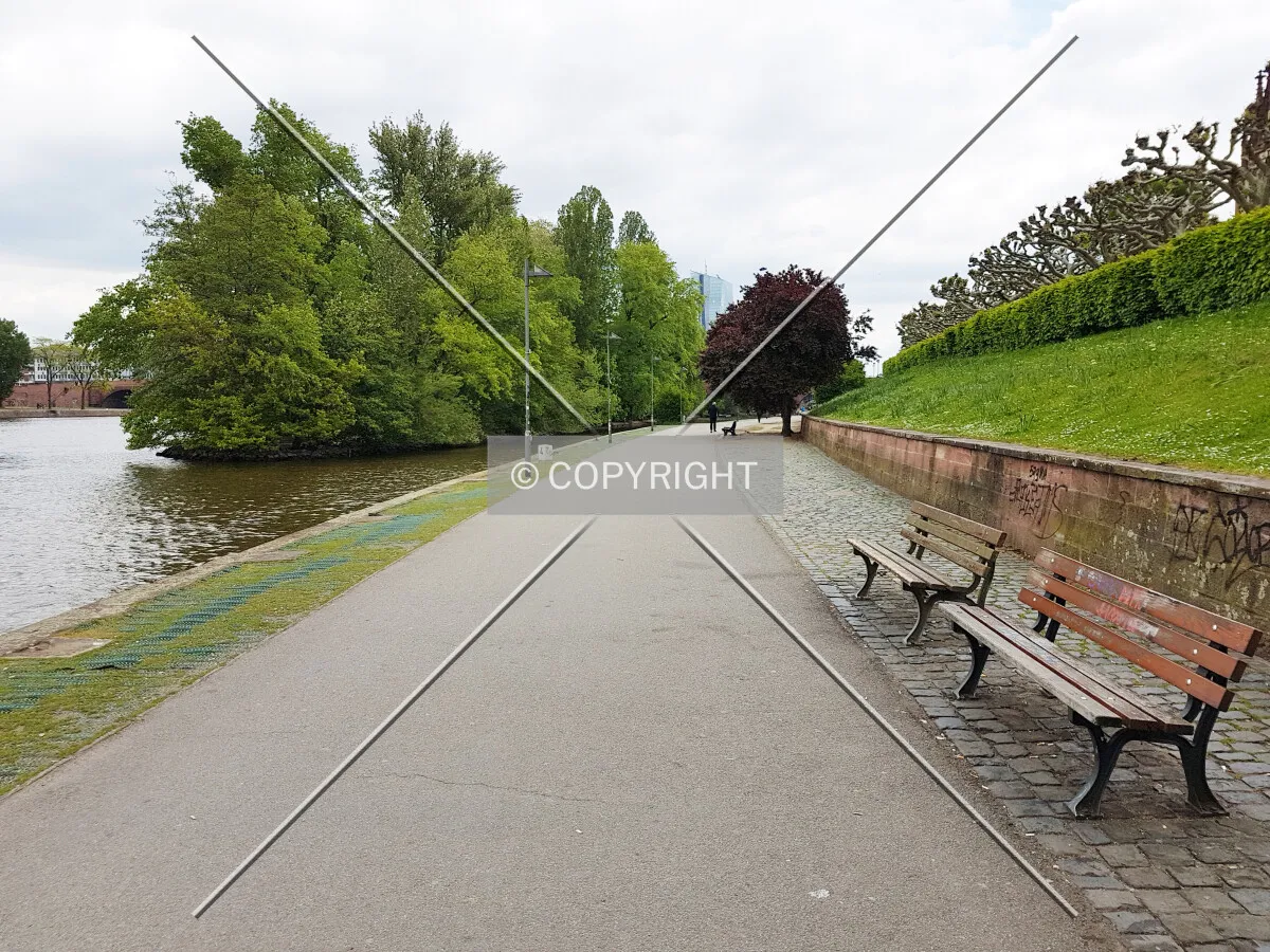 Photo 777-104-291